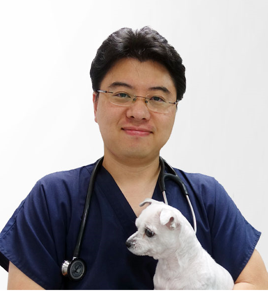 이미지명