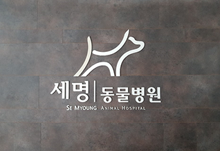 이미지명