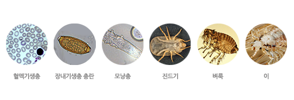 이미지명