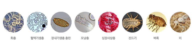 이미지명